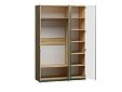 Шкаф распашной Скарабей-3 Пантано