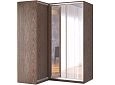 Шкаф-купе угловой Премьер-4