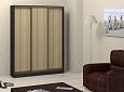 Шкаф-купе Адриано-3